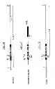 Fig. 02 - INHIBITION OF THE BETA3 SUBUNIT OF L-TYPE CA2+ CHANNELS