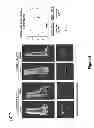 Fig. 07 - Genetically modified non-human animals and methods of use thereof