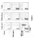 Fig. 09 - Genetically modified non-human animals and methods of use thereof