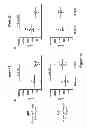 Fig. 16 - Genetically modified non-human animals and methods of use thereof