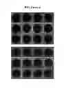 Fig. 04 - COMPOSITIONS AND METHODS FOR THE DETECTION OF ZINC