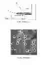 Fig. 02 - METHODS AND APPARATUS FOR IMPROVING IN VITRO MEASUREMENTS USING BOYDEN CHAMBERS