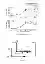 Fig. 04 - METHODS AND APPARATUS FOR IMPROVING IN VITRO MEASUREMENTS USING BOYDEN CHAMBERS
