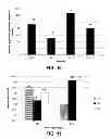 Fig. 09 - Antimicrobial and anti-inflammatory activity of switchgrass-derived extractives