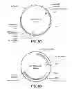 Fig. 28 - METHOD FOR REDUCING VISCOSITY IN SACCHARIFICATION PROCESS