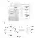 Fig. 08 - Host cells and methods for oxidizing aromatic amino acids