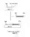 Fig. 09 - Host cells and methods for oxidizing aromatic amino acids