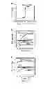 Fig. 03 - Method of extracting neural stem cells using nanoparticles