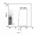 Fig. 06 - Method of extracting neural stem cells using nanoparticles