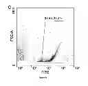 Fig. 08 - Method of extracting neural stem cells using nanoparticles