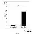 Fig. 09 - Method of extracting neural stem cells using nanoparticles