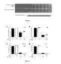 Fig. 03 - Stabilisation method for viruses or bacteria