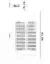 Fig. 28 - Compositions for Diagnosis and Therapy of Diseases Associated with Aberrant Expression of Futrins (R-Spondins) and/or Wnt