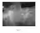 Fig. 03 - Spectral imaging of biological samples