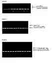 Fig. 03 - FILTER MODULE IN BIOMOLECULE ISOLATION