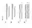 Fig. 22 - DNA-binding proteins and uses thereof