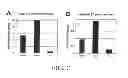 Fig. 08 - Markers of definitive endoderm