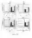 Fig. 28 - Markers of definitive endoderm