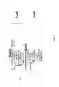 Fig. 04 - DEFINITIVE ENDODERM