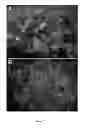Fig. 06 - DEFINITIVE ENDODERM