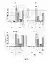 Fig. 28 - DEFINITIVE ENDODERM