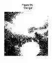 Fig. 06 - Synthetic surfaces for culturing stem cell derived oligodendrocyte progenitor cells