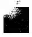 Fig. 08 - Synthetic surfaces for culturing stem cell derived oligodendrocyte progenitor cells