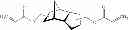 Fig. 19 - Synthetic surfaces for culturing stem cell derived oligodendrocyte progenitor cells