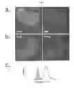 Fig. 02 - Simplified Compositions and Methods for Generating Neural Stem Cells From Human Pluripotent Stem Cells