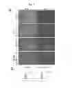 Fig. 06 - Simplified Compositions and Methods for Generating Neural Stem Cells From Human Pluripotent Stem Cells
