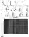 Fig. 05 - Chemically defined production of cardiomyocytes from pluripotent stem cells