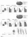 Fig. 07 - Chemically defined production of cardiomyocytes from pluripotent stem cells