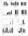 Fig. 11 - Chemically defined production of cardiomyocytes from pluripotent stem cells