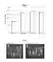 Fig. 05 - Plant Cell Differentiation Promoter