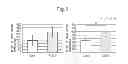 Fig. 06 - Plant Cell Differentiation Promoter