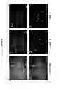 Fig. 07 - Methods for regulating neural differentiation