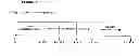 Fig. 08 - METHOD OF GENETICALLY ALTERING AND PRODUCING ALLERGY FREE CATS