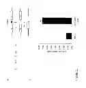 Fig. 13 - DNA-binding proteins and uses thereof