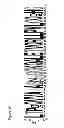 Fig. 24 - DNA-binding proteins and uses thereof