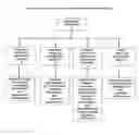Fig. 06 - METHOD FOR EVALUATION OF LIGNIN