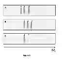 Fig. 02 - Method for specific identification of target biomolecules