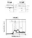 Fig. 05 - Manufacture method for semiconductor device capable of preventing reduction of ferroelectric film