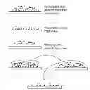 Fig. 01 - BIOMOLECULAR RECOGNITION OF CRYSTAL DEFECTS