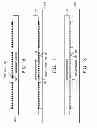 Fig. 10 - Wettable lead ends on a flat-pack no-lead microelectronic package