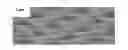 Fig. 01 - Selective gallium nitride regrowth on (100) silicon