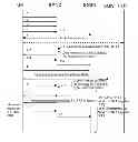 Fig. 01 - Method and arrangement in a telecommunication system