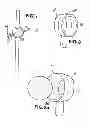 Fig. 05 - Golf Club Stand and Accessory