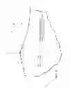 Fig. 03 - Golf ball dimple profile