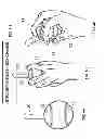 Fig. 10 - BASEBALL PITCHING TRAINING DEVICE