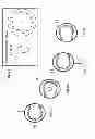 Fig. 18 - BASEBALL PITCHING TRAINING DEVICE